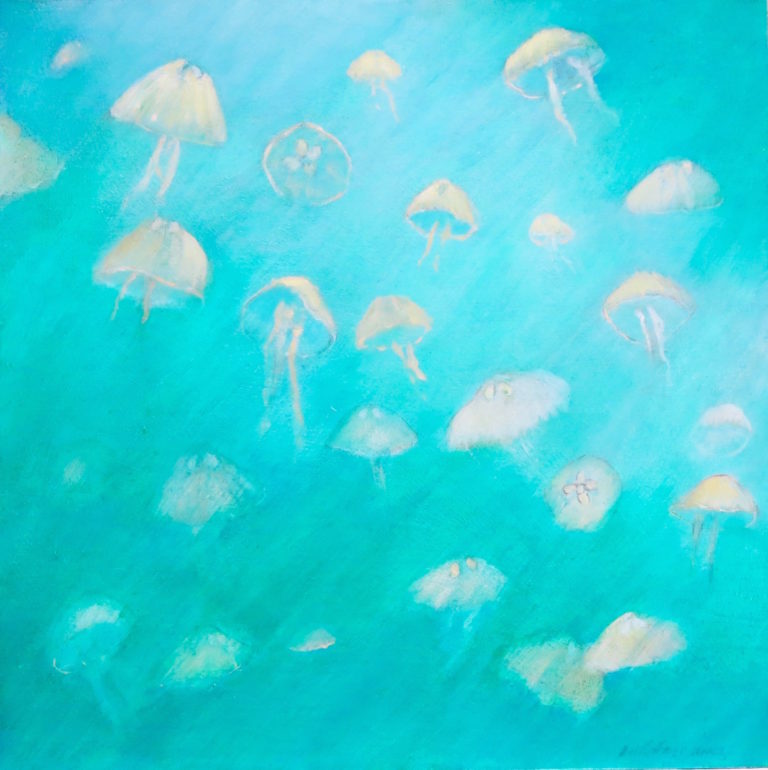 Andrew Pellettieri Moon Jellyfish