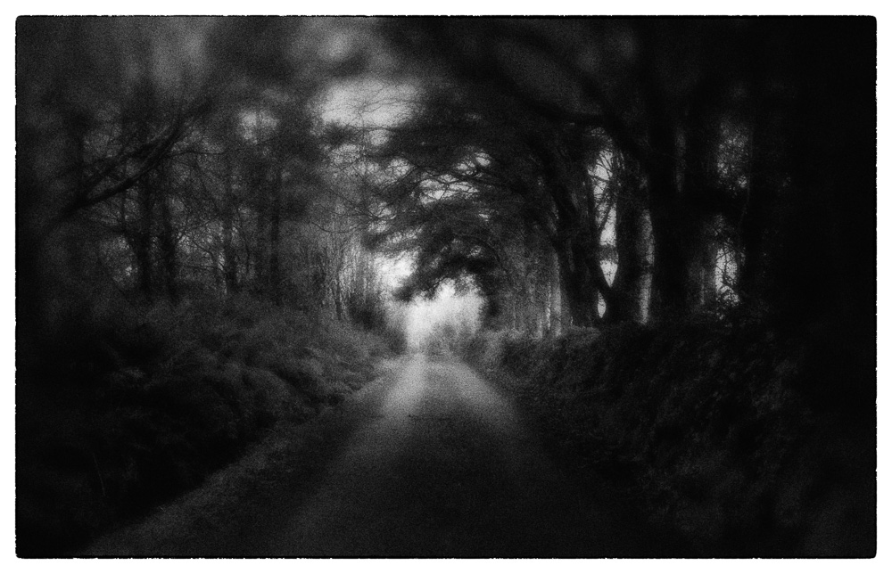 Neal Warshaw Clare Country Road