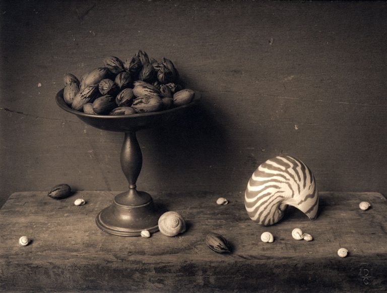David Halliday Pecans And Shells