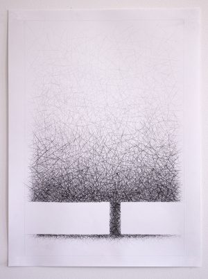 Douglas Gilbert-Orchard Variation 4