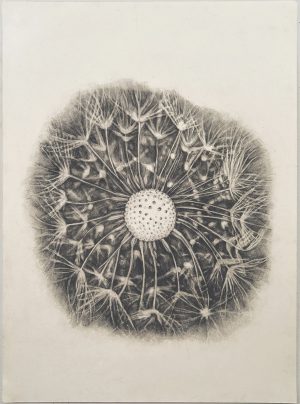 Maja Kihlstedt-When All is Quiet 3