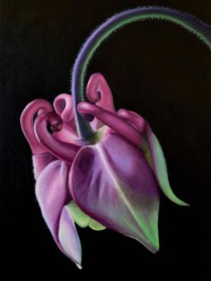 Jackie Skrzynski, Pink Columbine Bloom