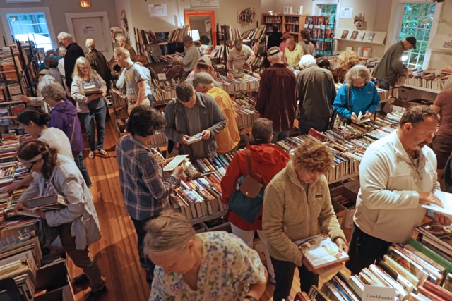 people looking through books at festival of books